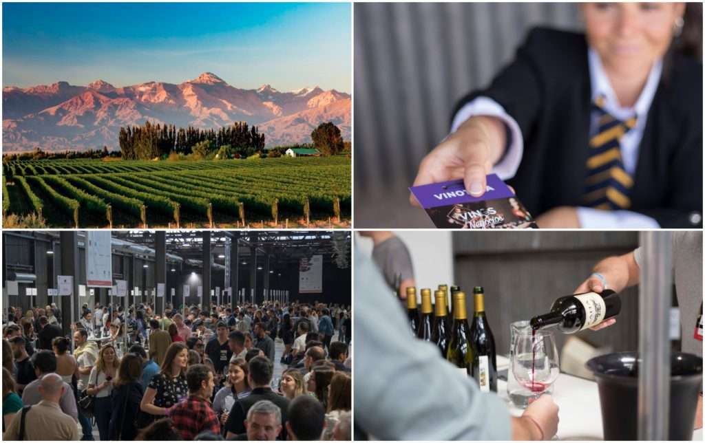 Expo Vinos y Negocios