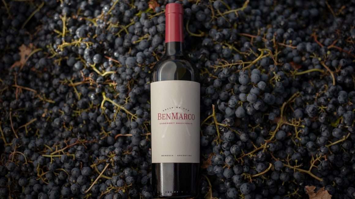 BenMarco Cabernet Sauvignon 2020 - Susana Balbo