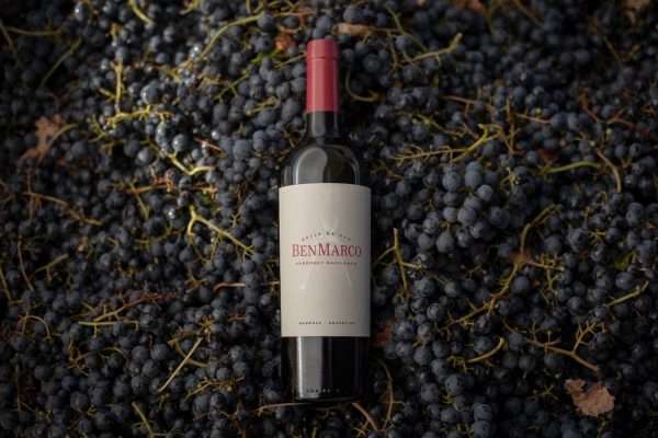 BenMarco Cabernet Sauvignon 2020, un Cabernet Sauvignon de viticultor para celebrar la cepa