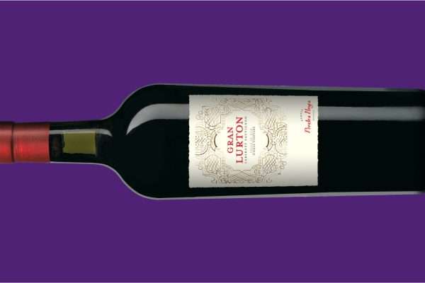 Bodega Piedra Negra, pioneros del Cabernet Sauvignon en Los Chacayes, celebra su día internacional