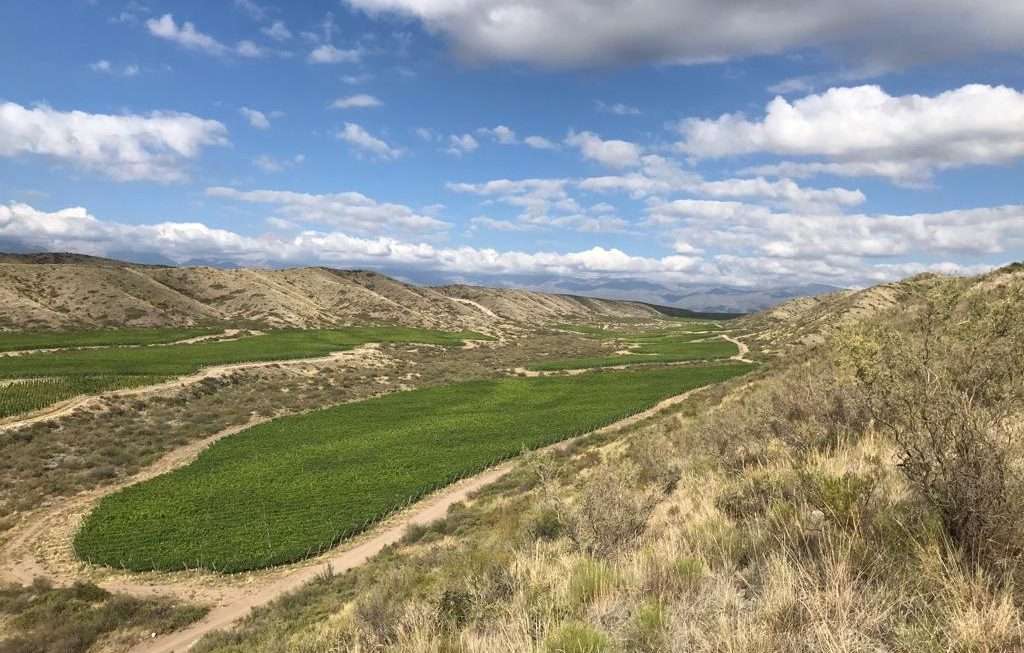 Viñalba, vinos extremos del Valle de Uco