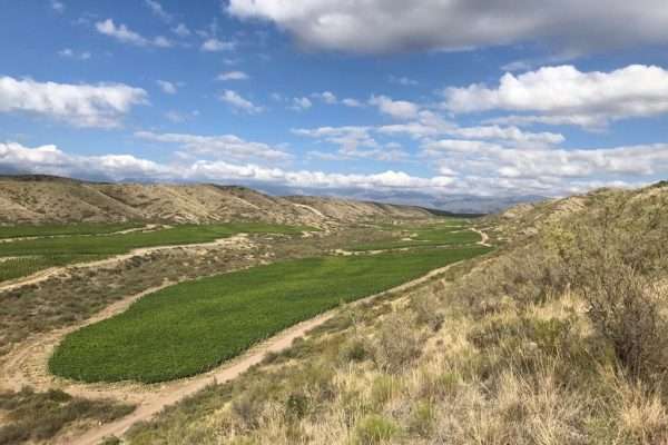 Viñalba, vinos extremos del Valle de Uco