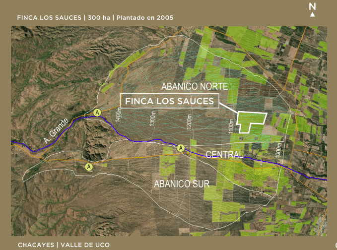 Trivento Gaudeo Tunuyán