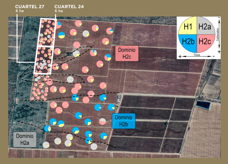 Trivento Gaudeo Tunuyán