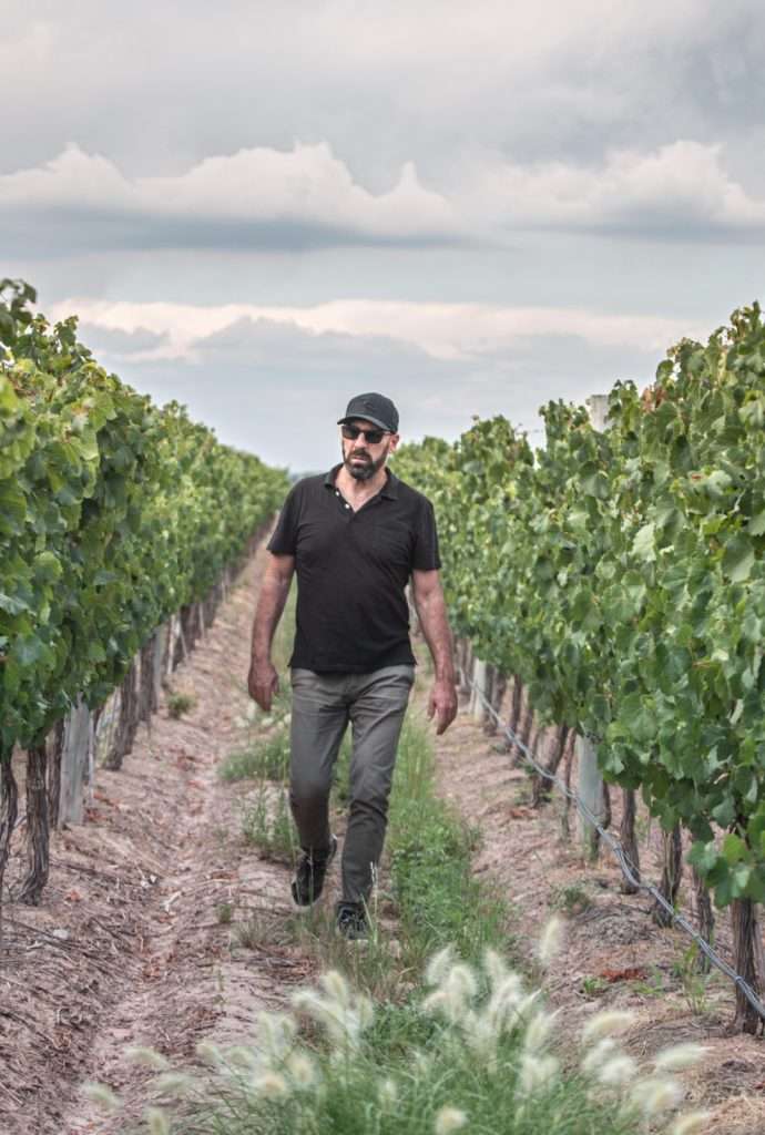 Homo Felix Blend 2018 - Patricio Eppinger