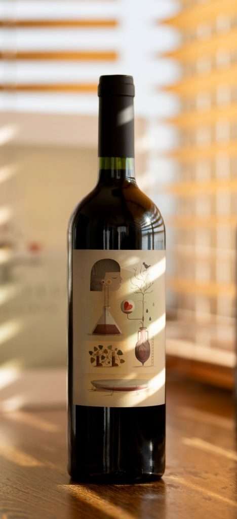 Homo Felix Blend 2018 - Patricio Eppinger