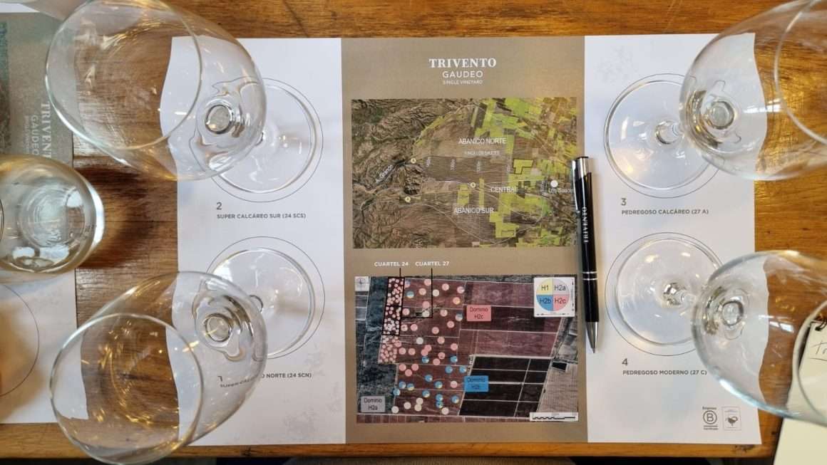 Trivento Gaudeo Tunuyán