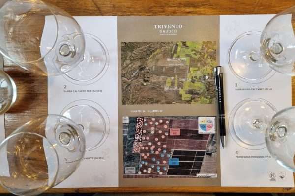 Trivento Gaudeo Single Vineyard Tunuyán 2018 y una cata diferente para entender un vino de corte a partir de sus componentes