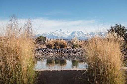 Enoturismo - Mendoza - Vacaciones de invierno - Rosell Boher