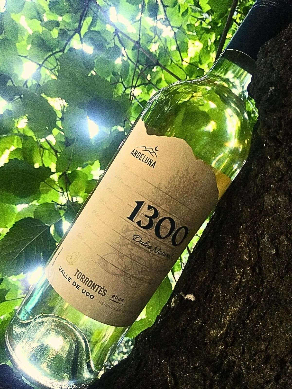 Andeluna 1300 Torrontés Dulce Natural